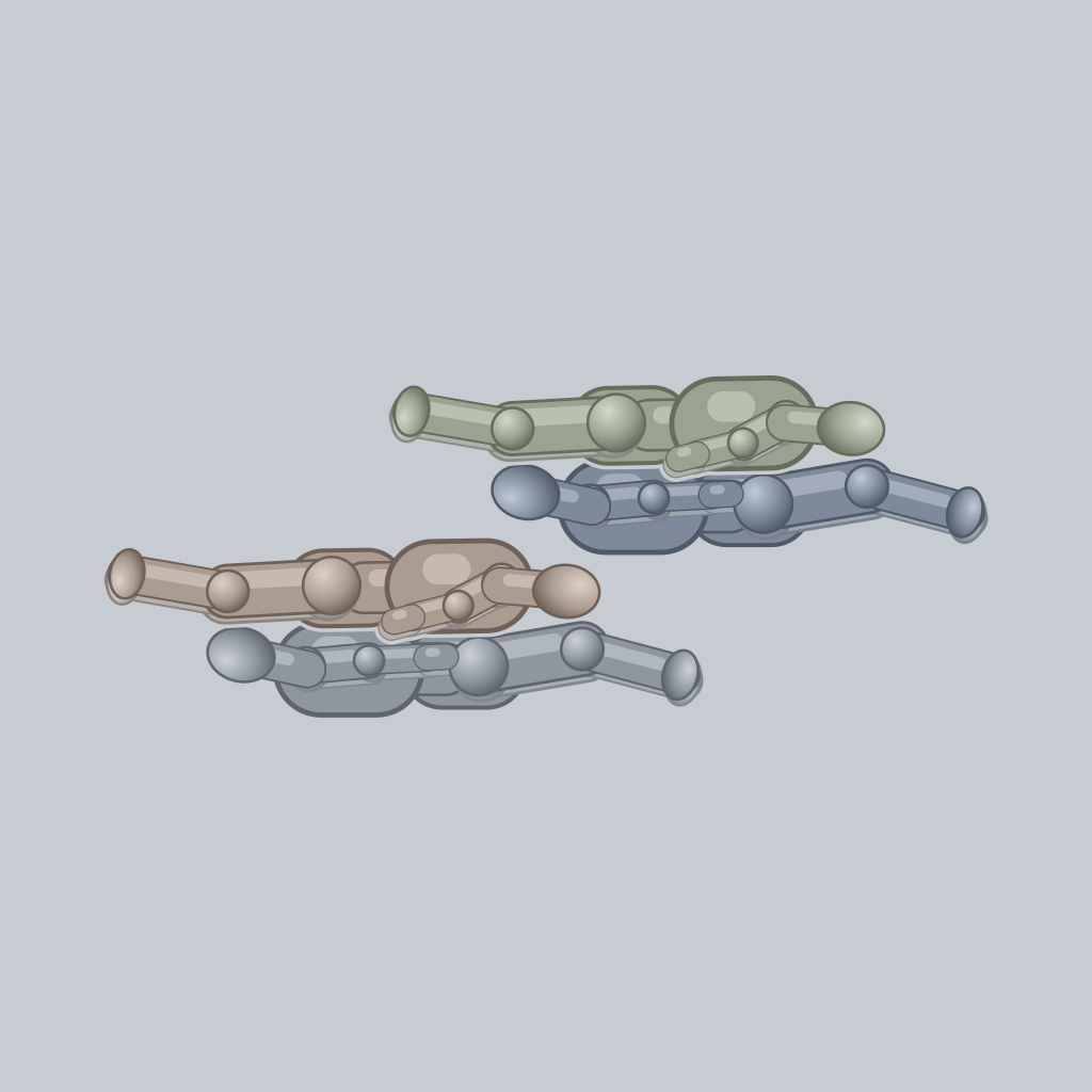 Four-Person 69 sex position — posed figure showing body placement for 4 people